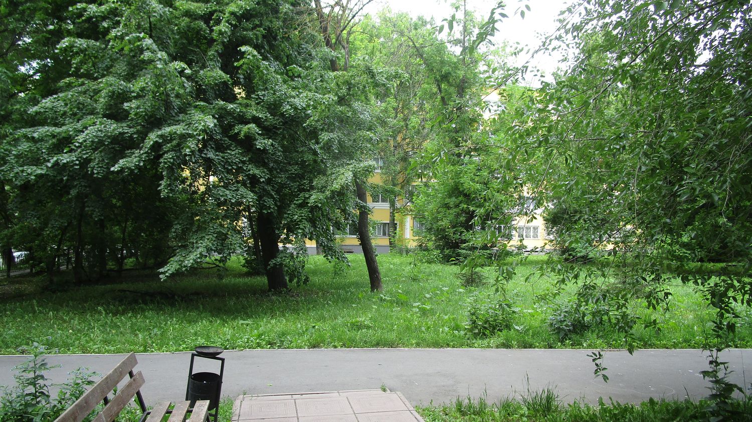 005-3