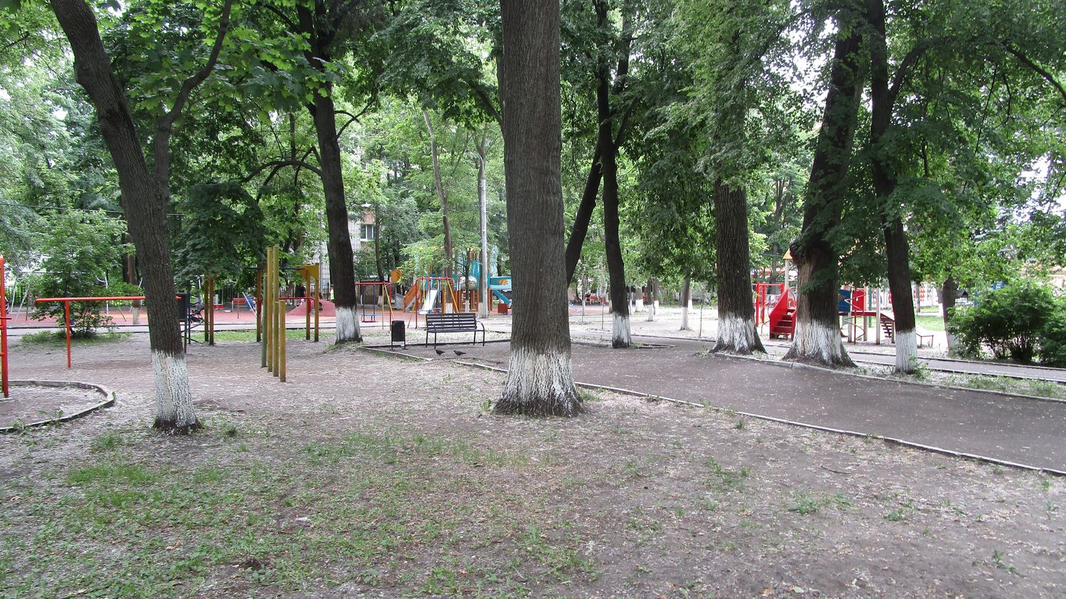 019-1